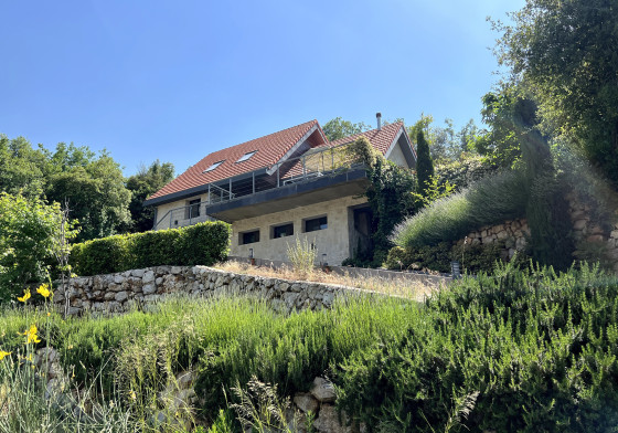 slider-image