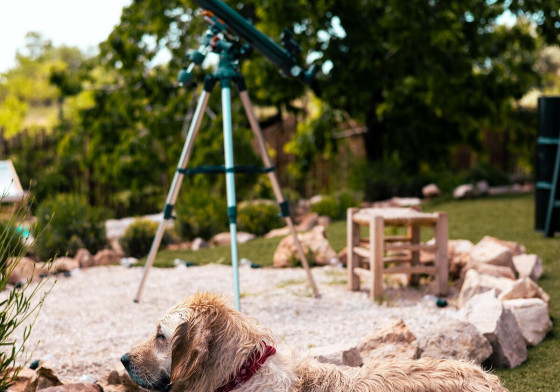 slider-image